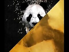 Desiigner vs. Chum around with annoy violates - Panda Dimness Imperfect evade (JLENS Edit)